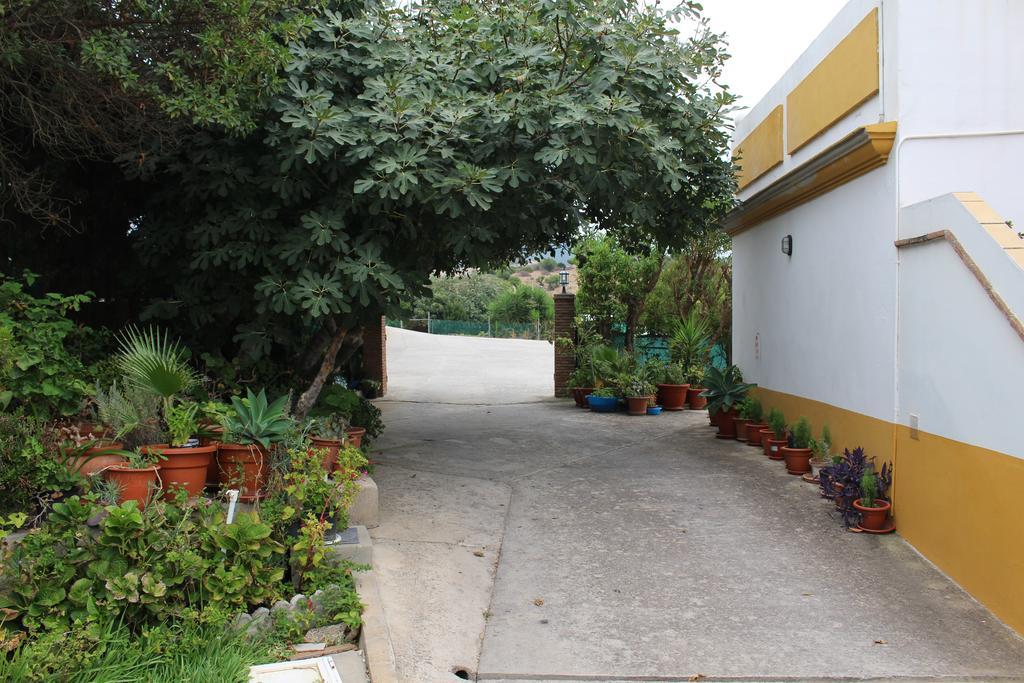 Apartamentos Bolonia Paraiso Ngoại thất bức ảnh