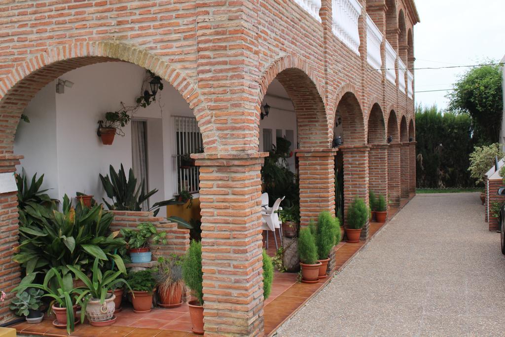 Apartamentos Bolonia Paraiso Ngoại thất bức ảnh